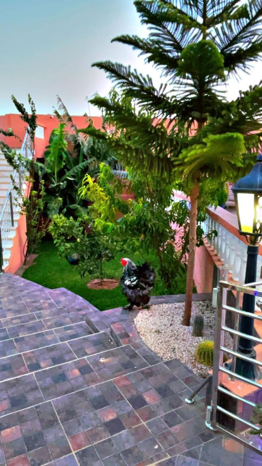 Riad Dar Salam Agadir Buitenkant foto